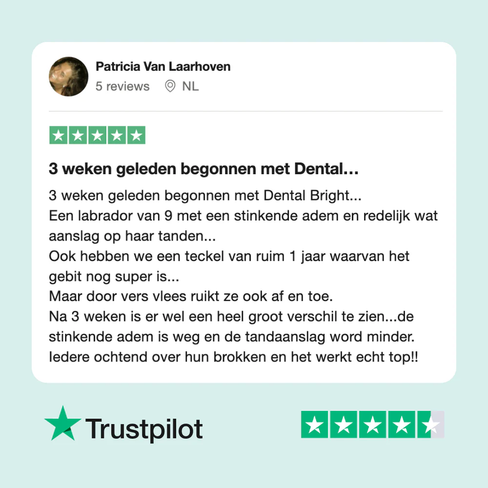 Productafbeelding 10