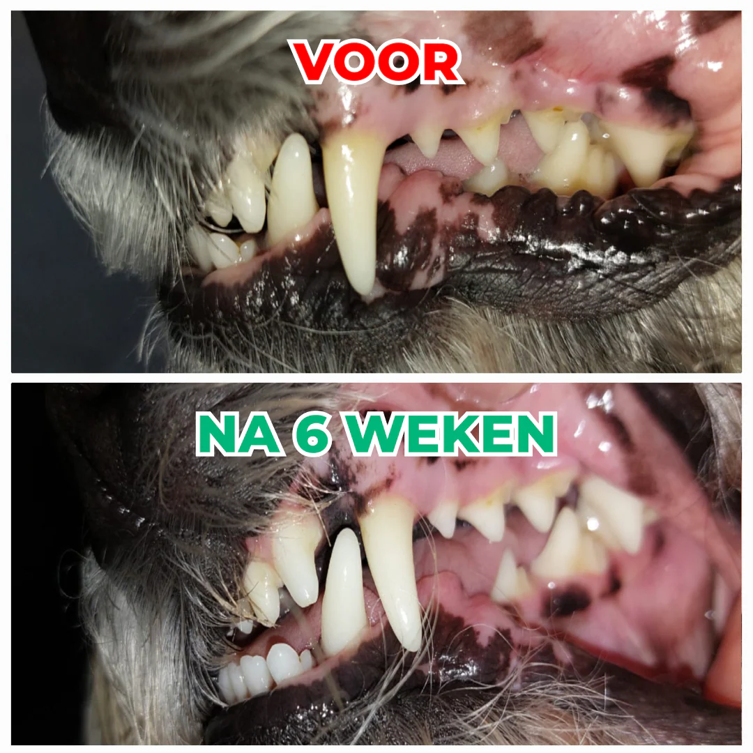 Productafbeelding 5