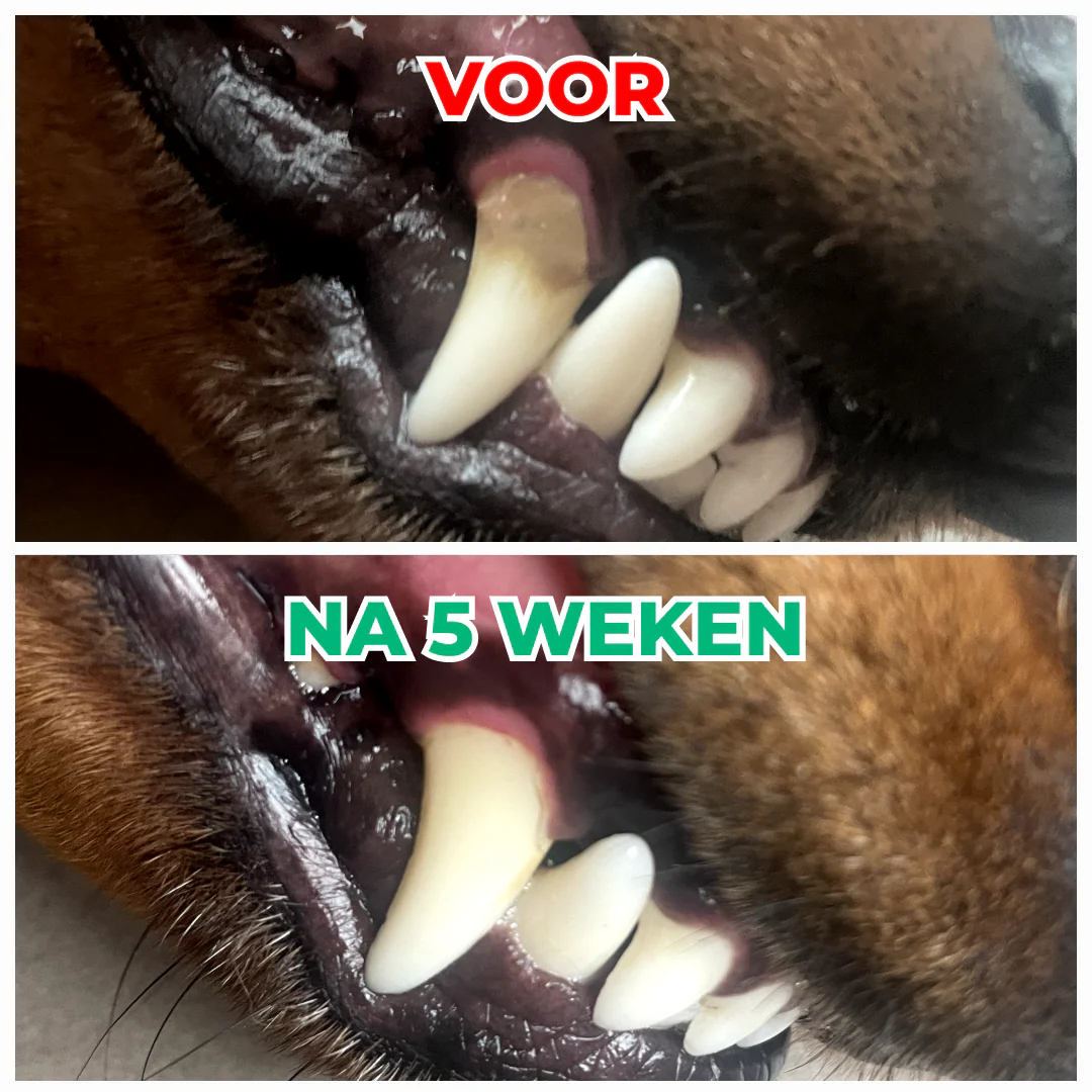 Productafbeelding 6
