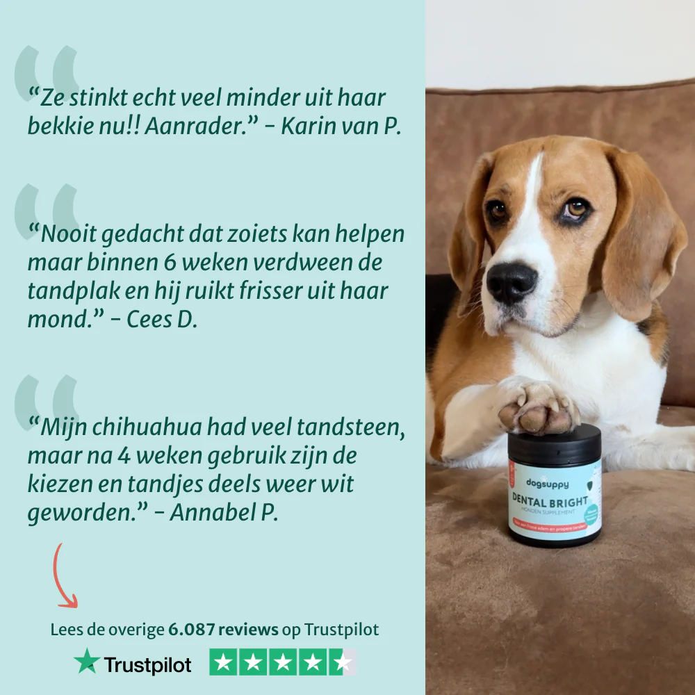 Productafbeelding 7