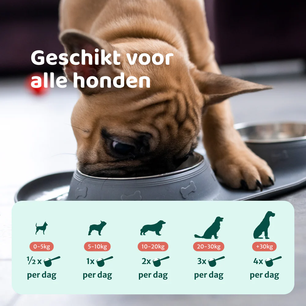 Productafbeelding 8