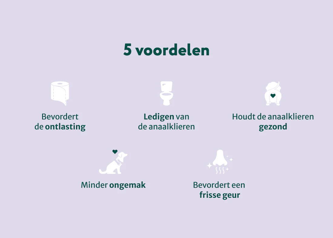 Productafbeelding 4