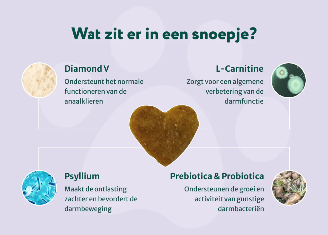 Productafbeelding 6