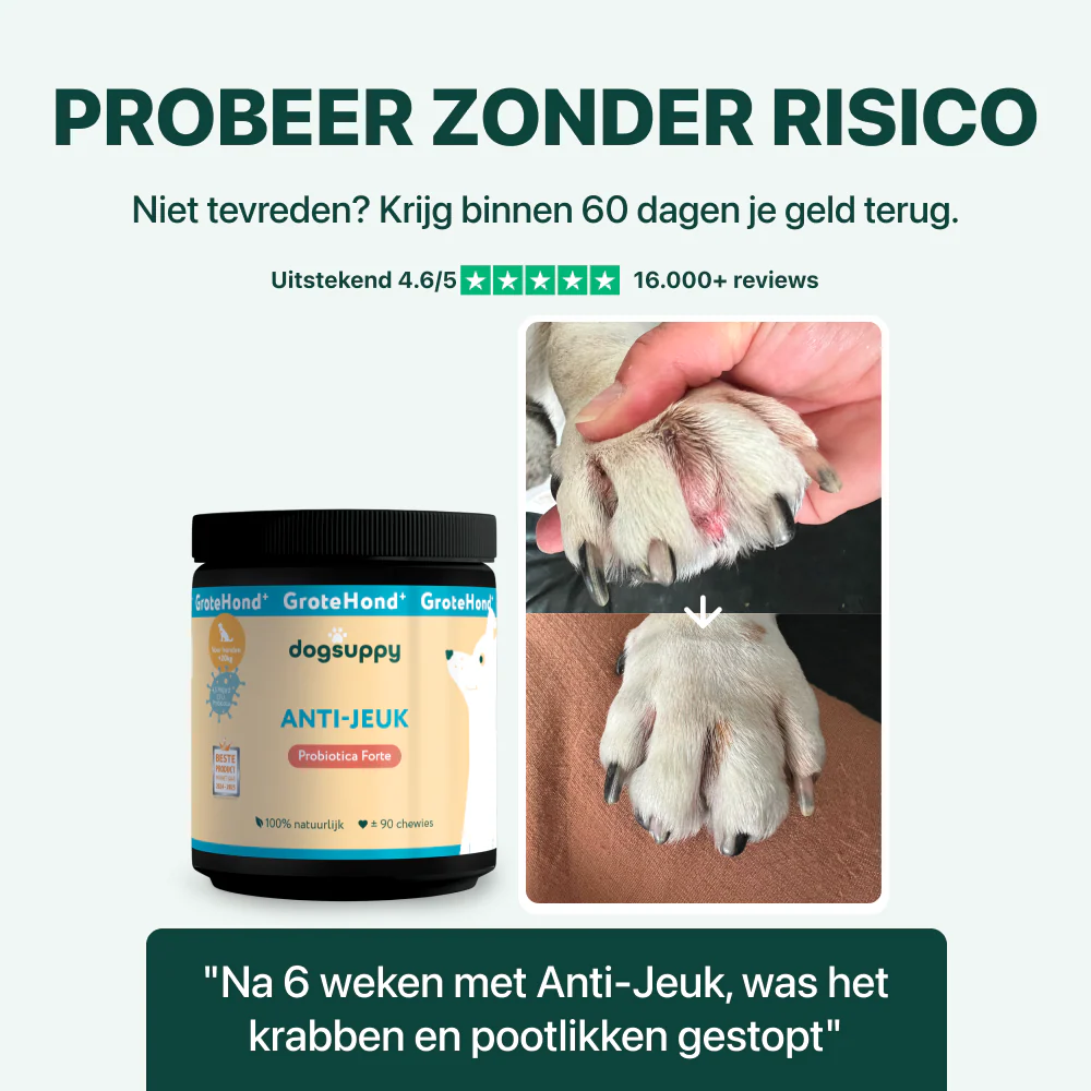 Productafbeelding 5