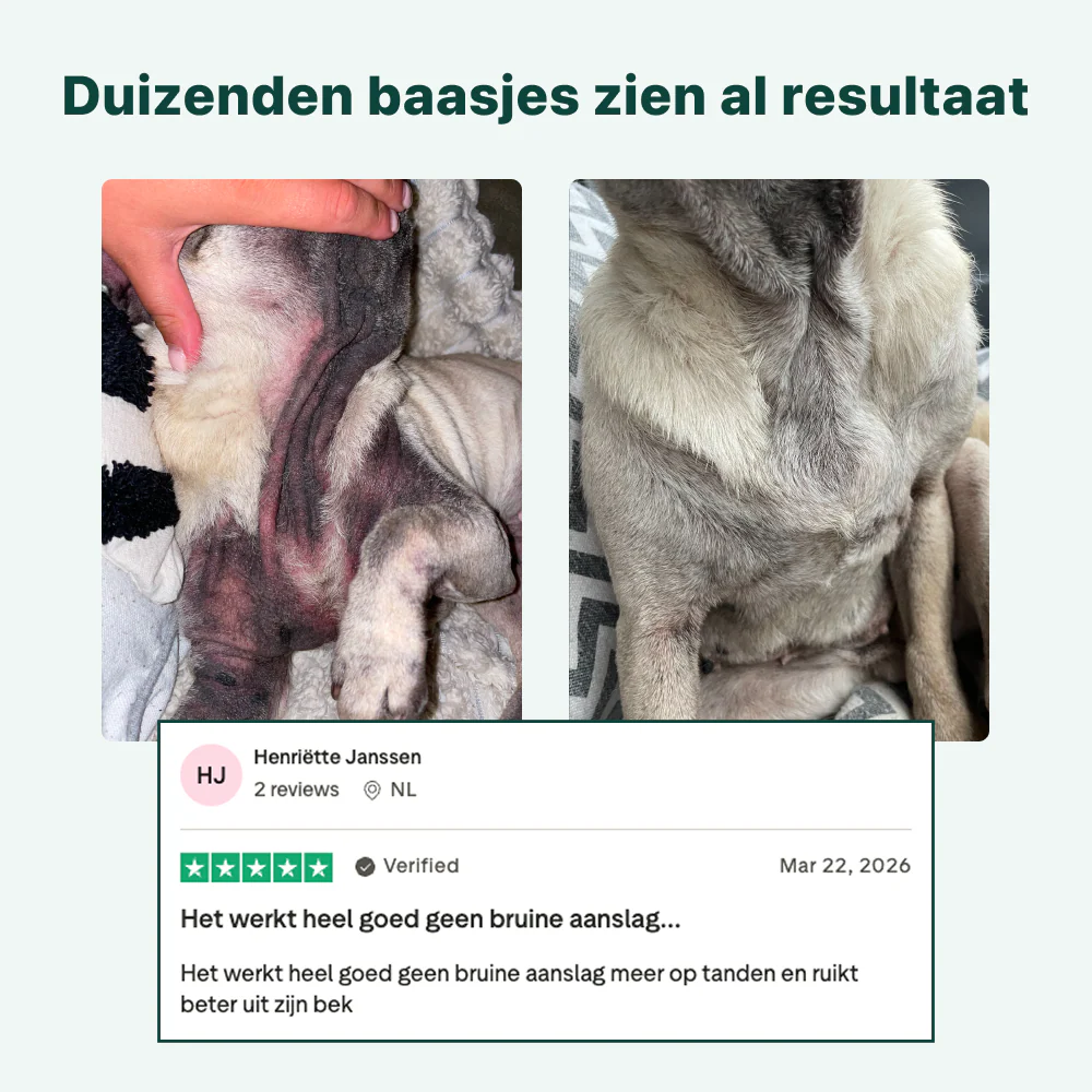 Productafbeelding 9