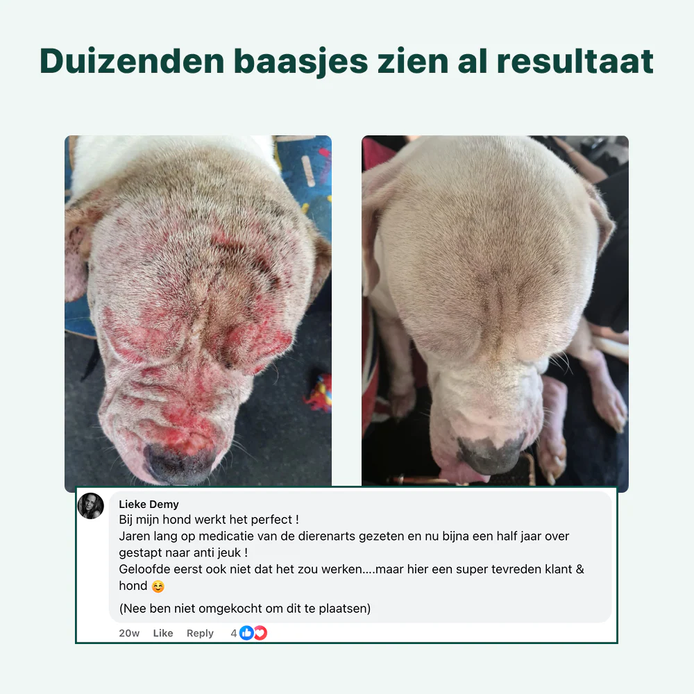 Productafbeelding 8
