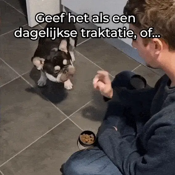 Productafbeelding 10