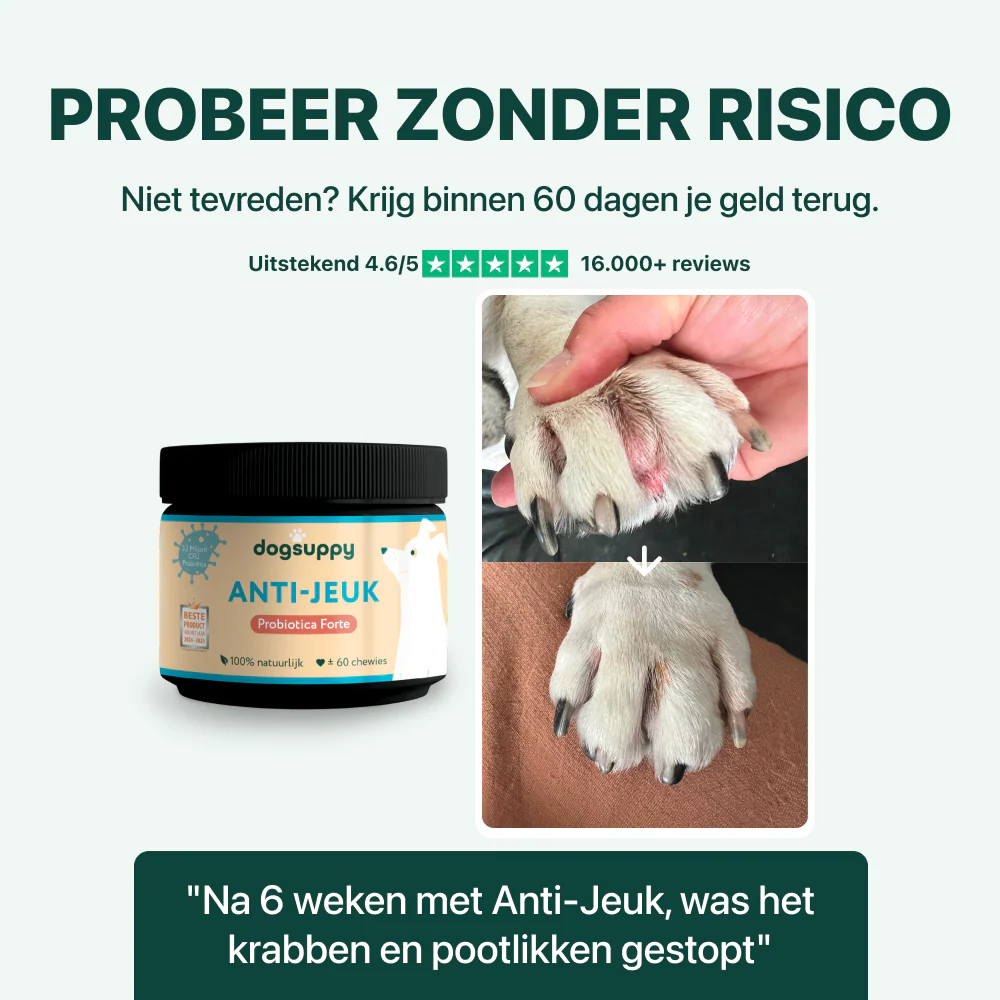 Productafbeelding 7