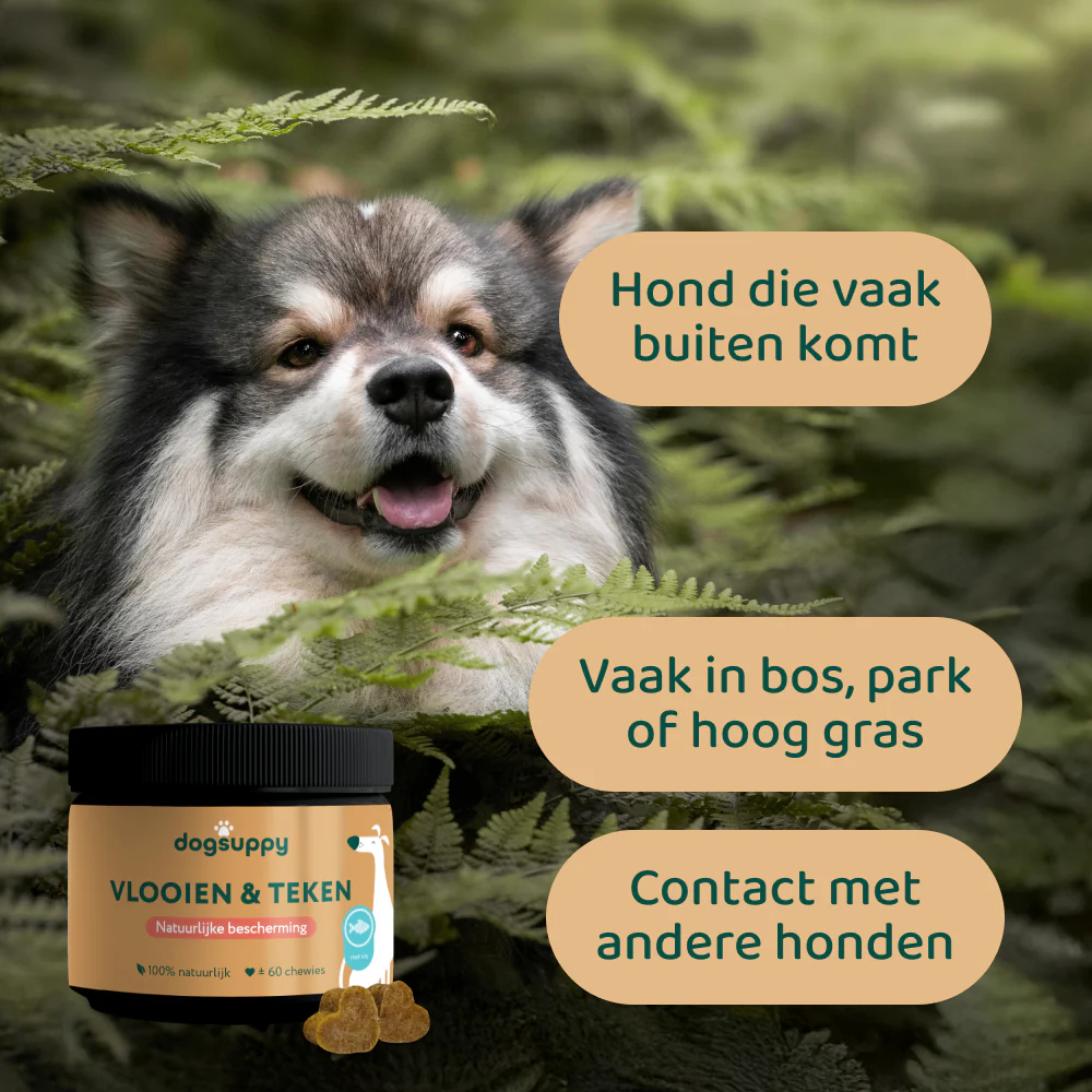 Productafbeelding 5