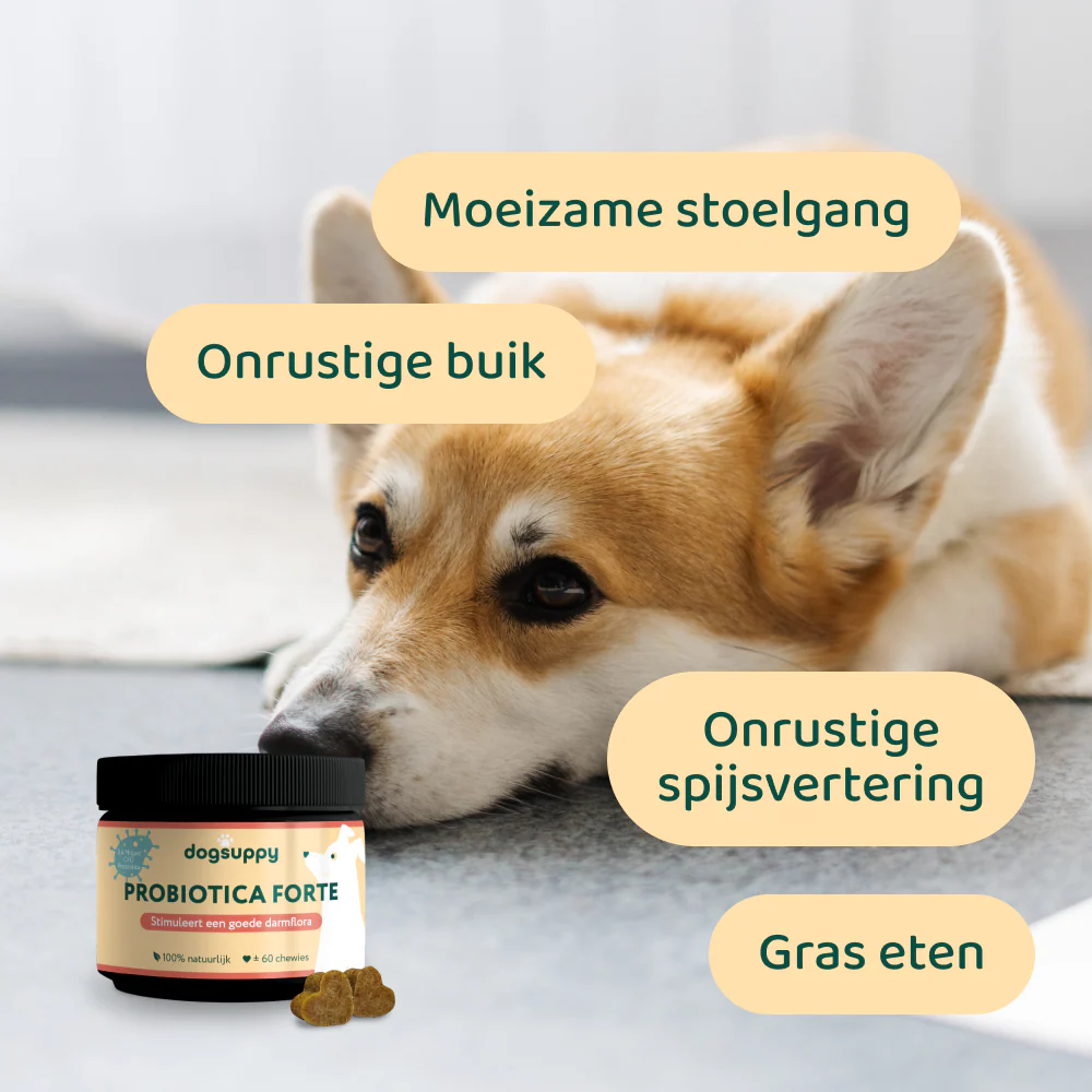 Productafbeelding 3