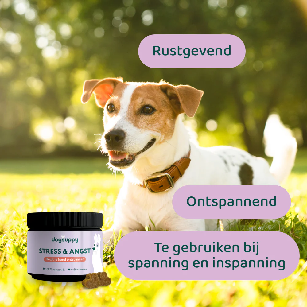 Productafbeelding 3