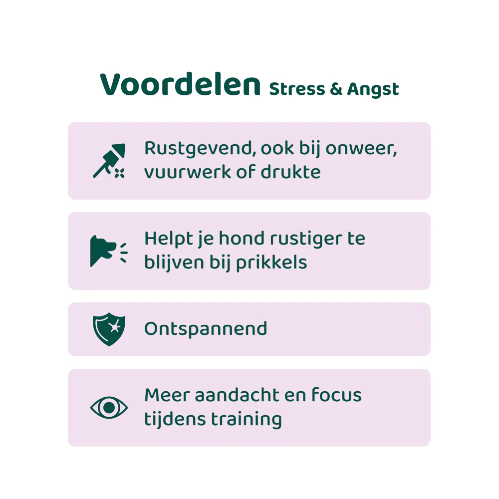 Productafbeelding 5