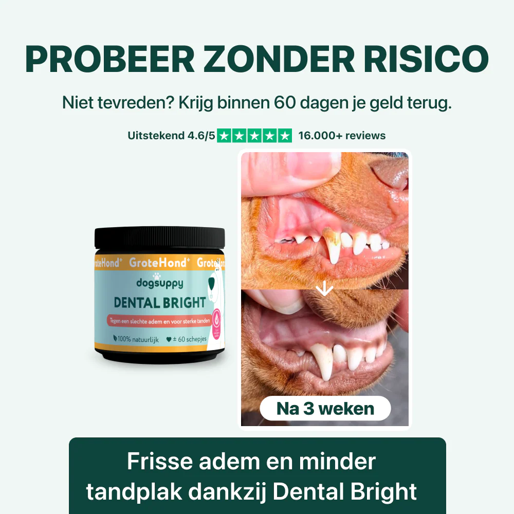 Productafbeelding 6