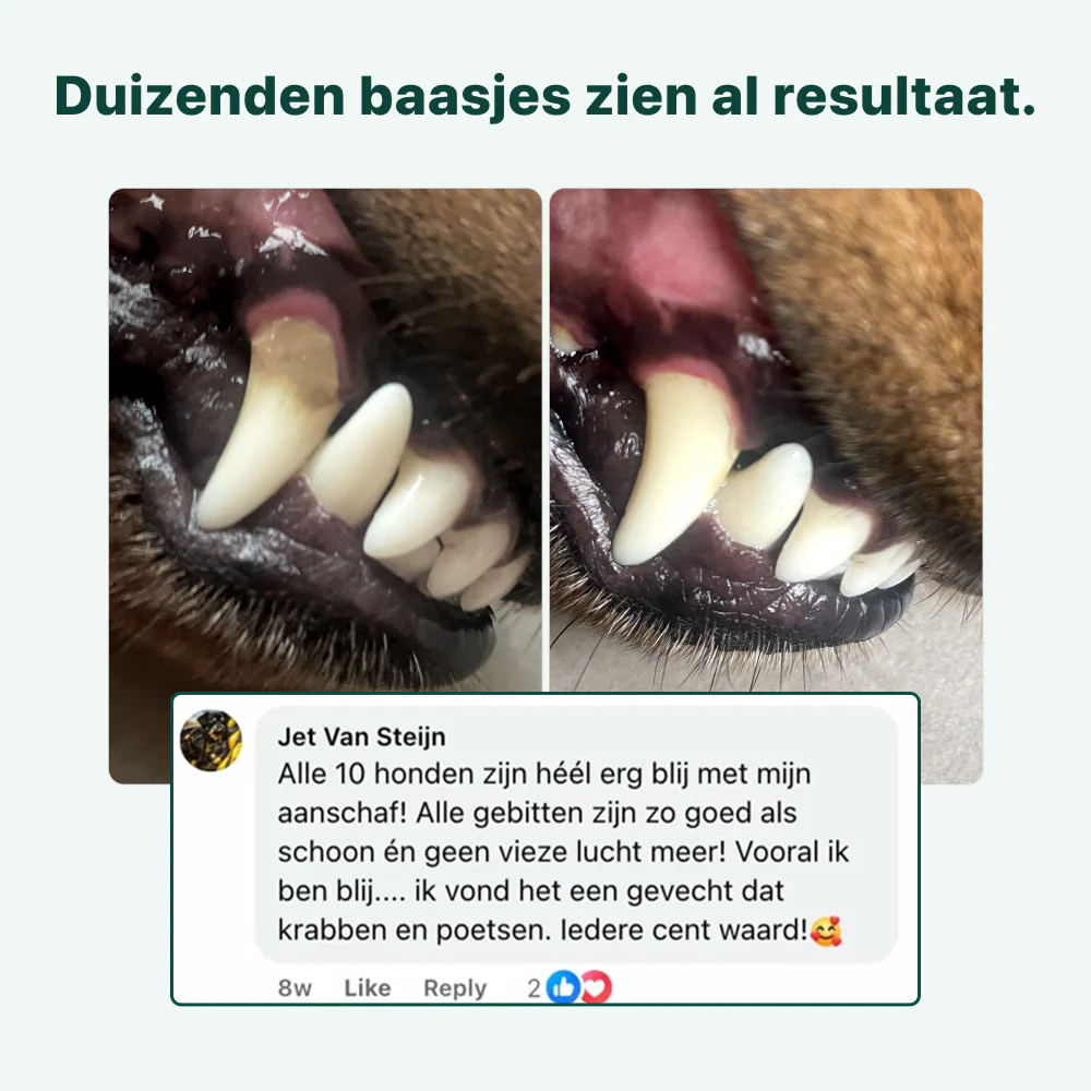Productafbeelding 8