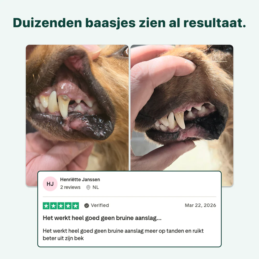 Productafbeelding 9