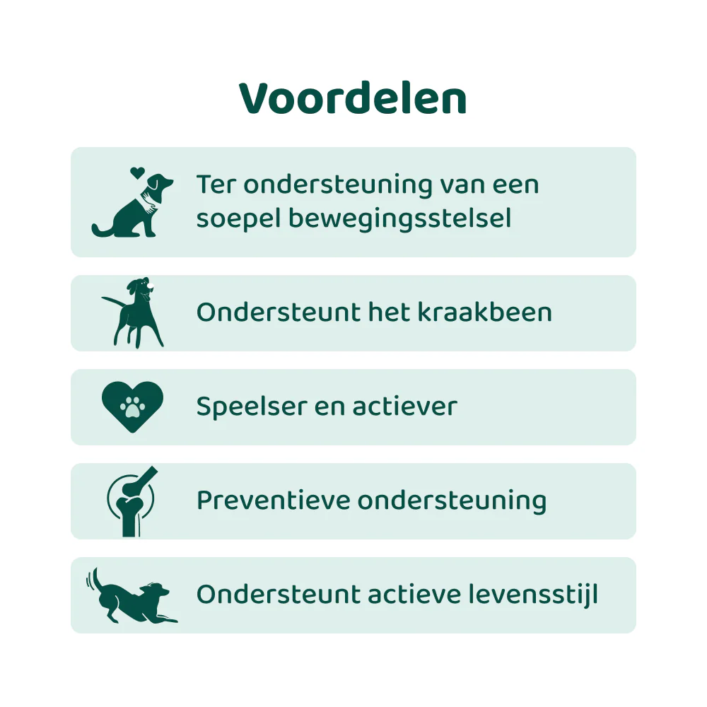 Productafbeelding 3