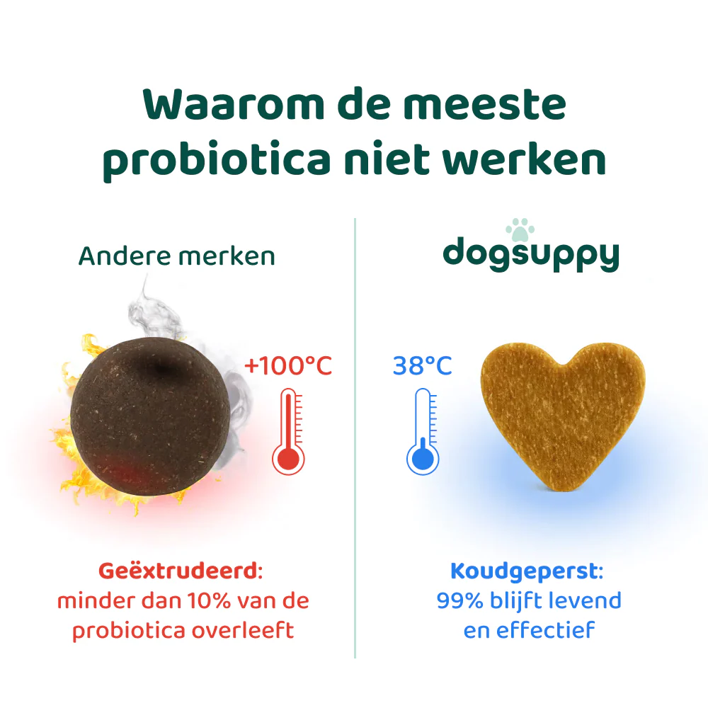 Productafbeelding 5