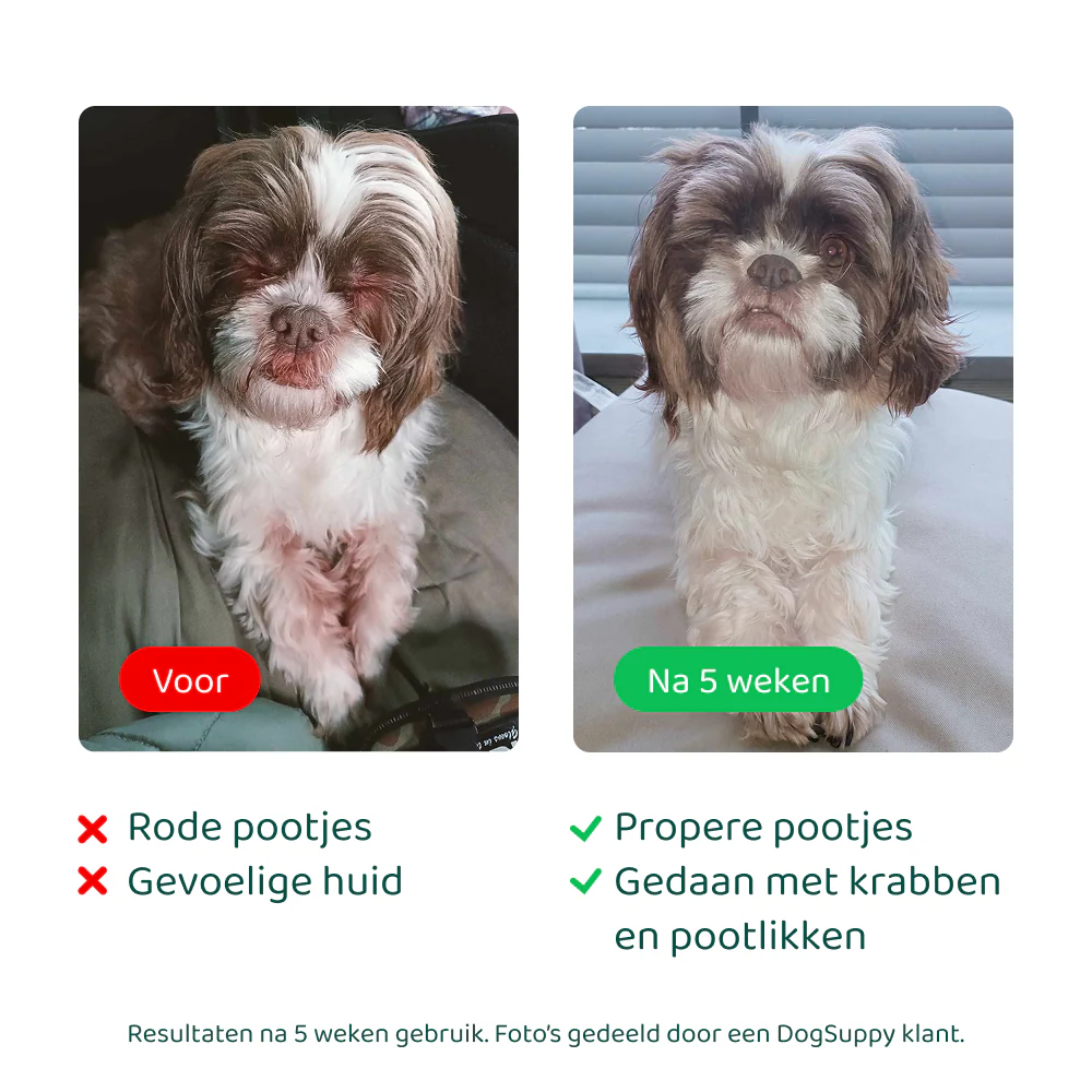 Productafbeelding 4