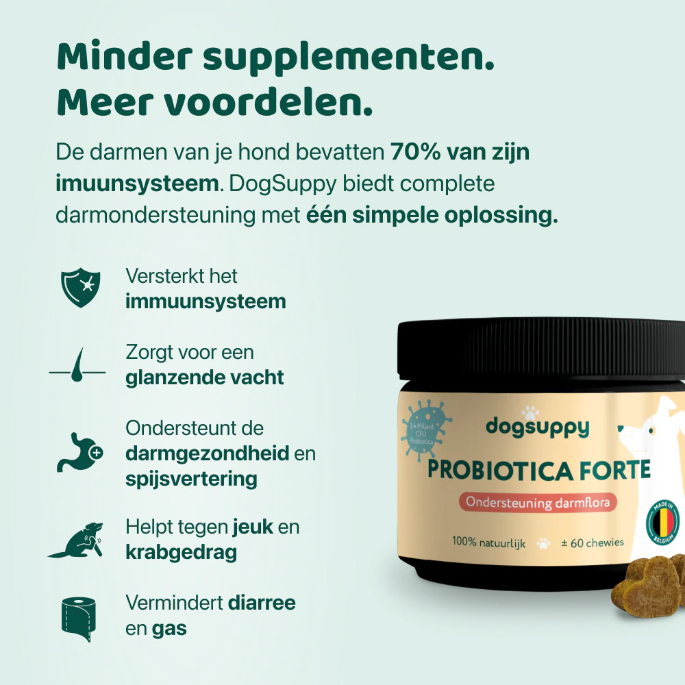 Productafbeelding 3