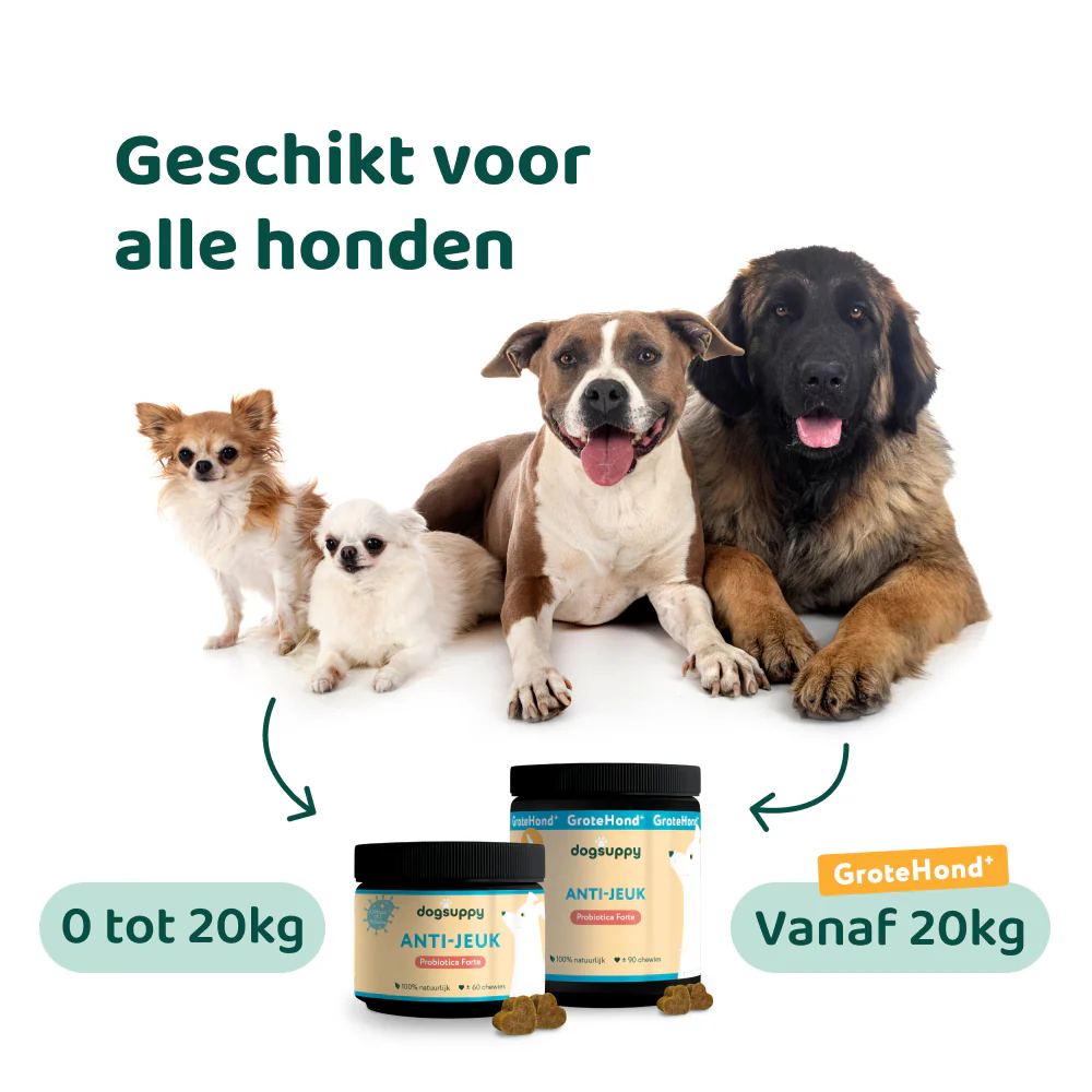 Productafbeelding 12