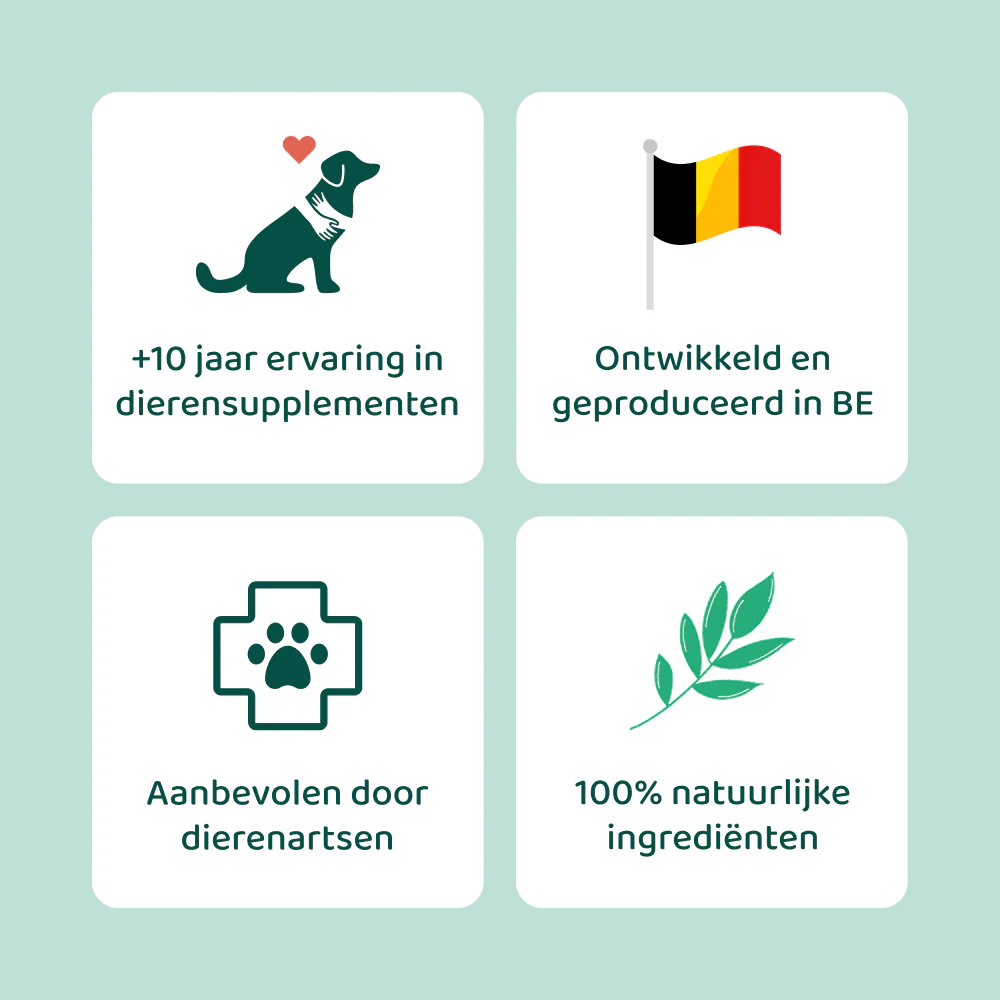 Productafbeelding 12