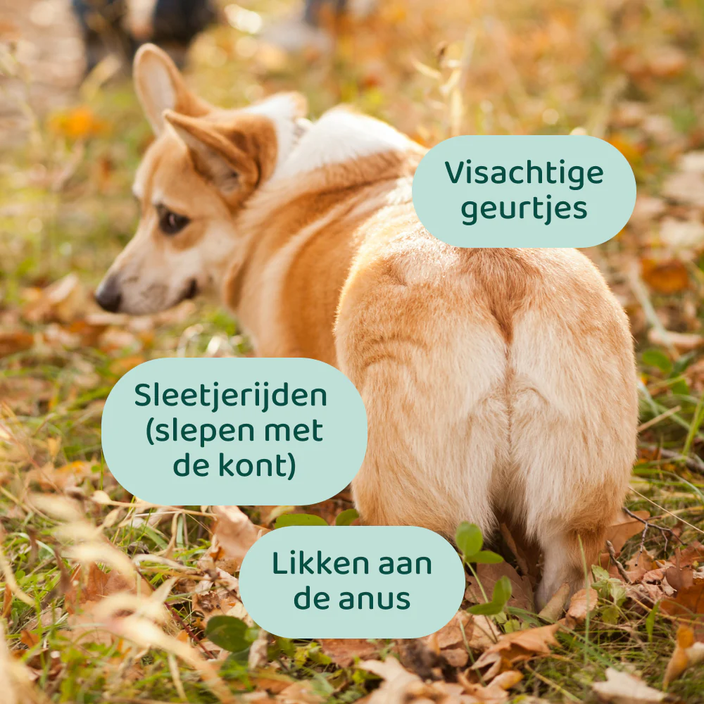 Productafbeelding 2
