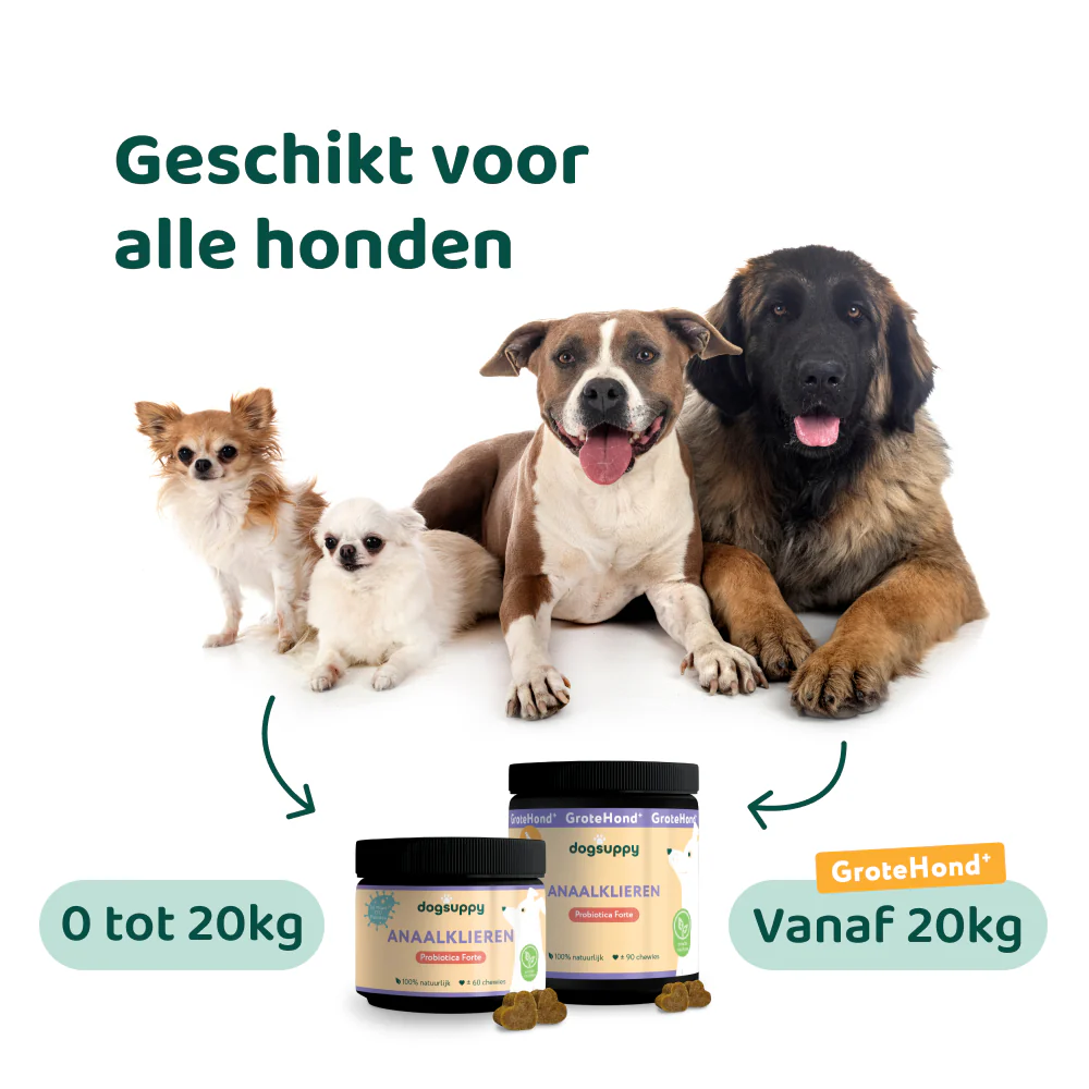 Productafbeelding 7