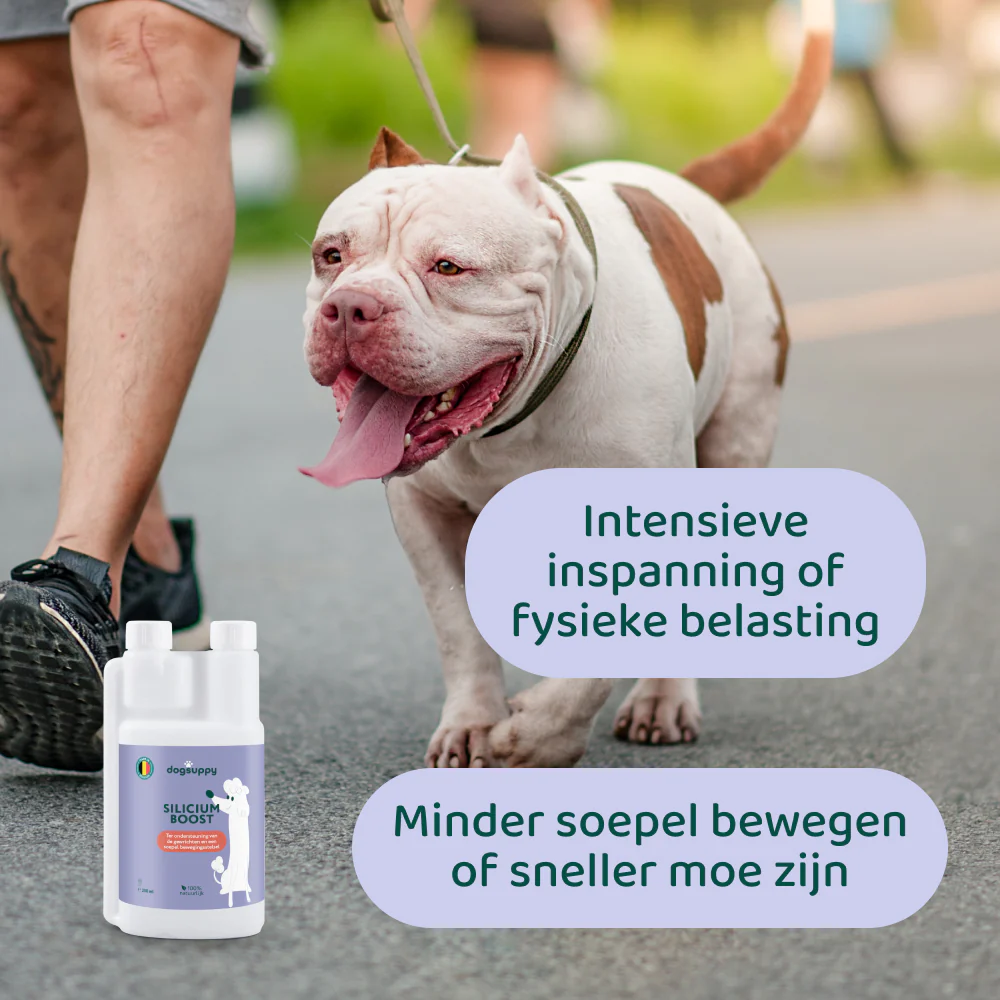 Productafbeelding 6