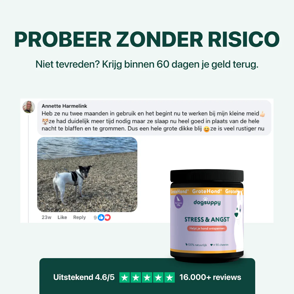 Productafbeelding 6